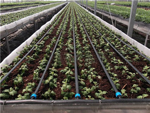 園林綠（lǜ）化PE管