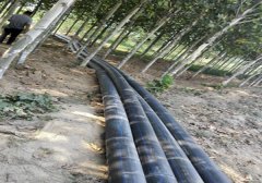 山東德州施工現場